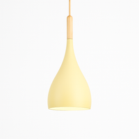 Kleurrijke metalen LED hanglamp en houten Nordic stok