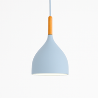 Kleurrijke metalen LED hanglamp en houten Nordic stok
