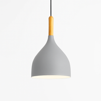 Kleurrijke metalen LED hanglamp en houten Nordic stok