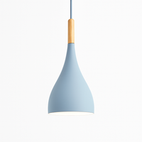 Kleurrijke metalen LED hanglamp en houten Nordic stok