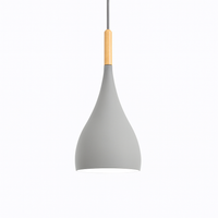 Kleurrijke metalen LED hanglamp en houten Nordic stok
