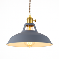 Kleurige metalen LED hanglamp Loft