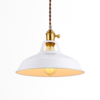 Kleurige metalen LED hanglamp Loft