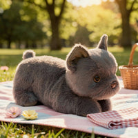 Schattige Knuffel Hond | Bulldog Pluche Speelgoed | Stoffen Dier | KnuffelBully