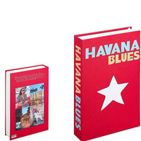 Stijlvolle Decoratieve Accentboeken
