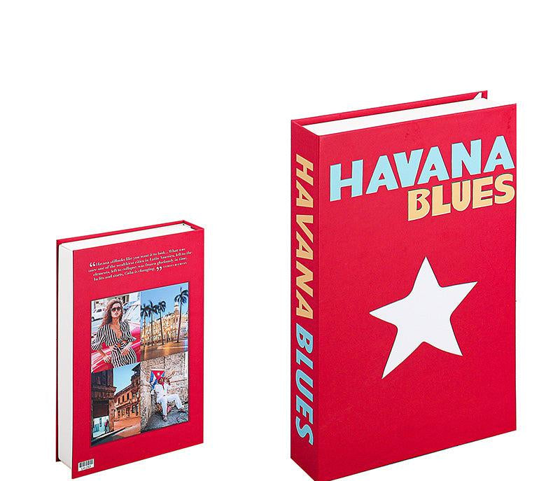 Stijlvolle Decoratieve Accentboeken