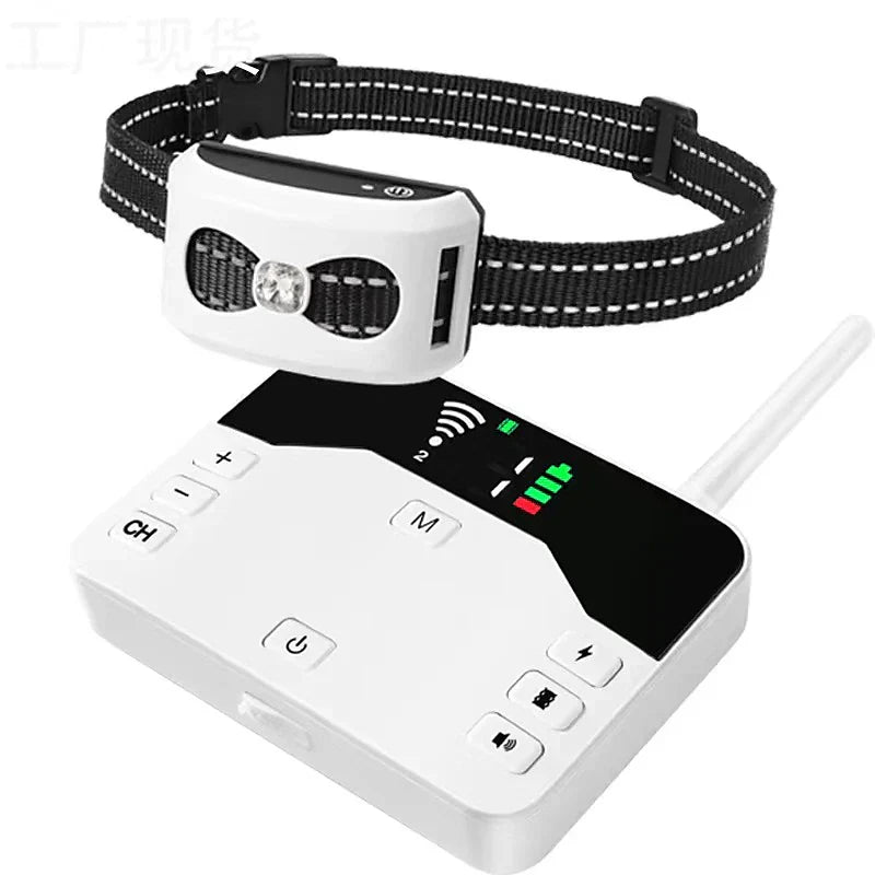 TailZone | Sistema di Sicurezza per Cani Wireless Avanzato