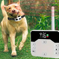 TailZone | Sistema di Sicurezza per Cani Wireless Avanzato