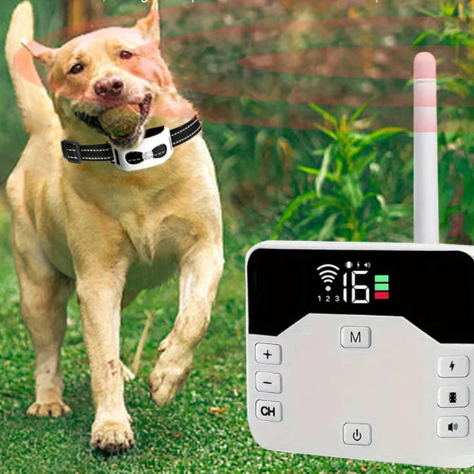 TailZone | Sistema di Sicurezza per Cani Wireless Avanzato