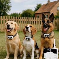 TailZone | Sistema di Sicurezza per Cani Wireless Avanzato