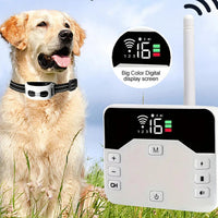 TailZone | Sistema di Sicurezza per Cani Wireless Avanzato