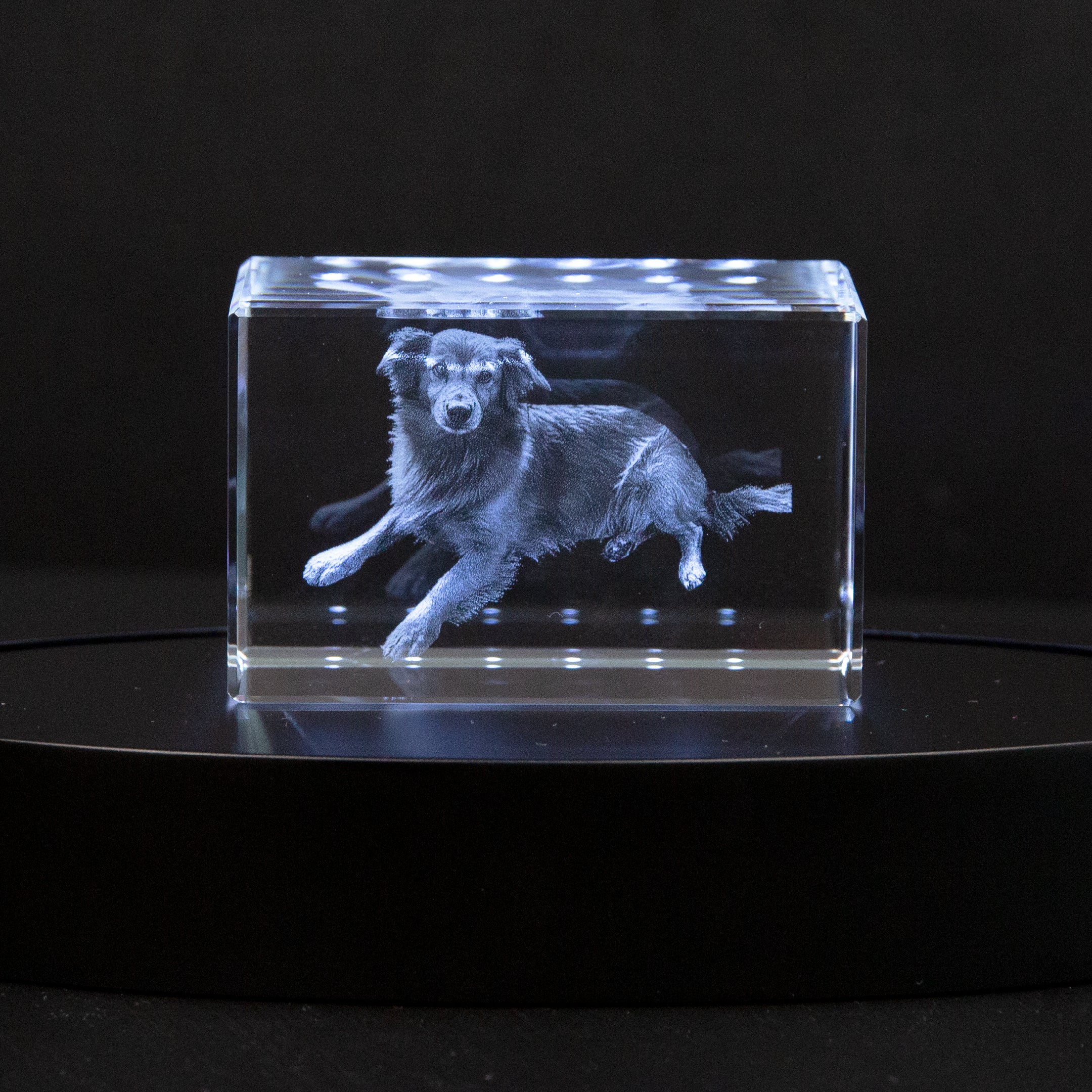 MemoryGlare | Breng je foto tot leven tot een prachtig kunstwerk