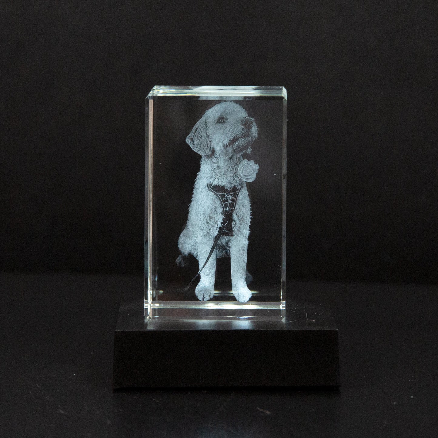 MemoryGlare | Breng je foto tot leven tot een prachtig kunstwerk