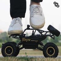 Ultieme 4x4 RC Monstertruck