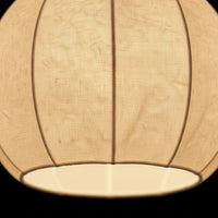 De Zijde Licht