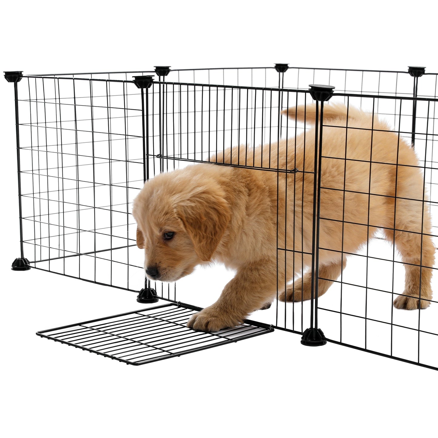 Gemakkelijk opvouwbare hondenkooi | Ruimtebesparend en zonder gereedschap te monteren Handige en betrouwbare binnenoplossing voor honden en puppy's.