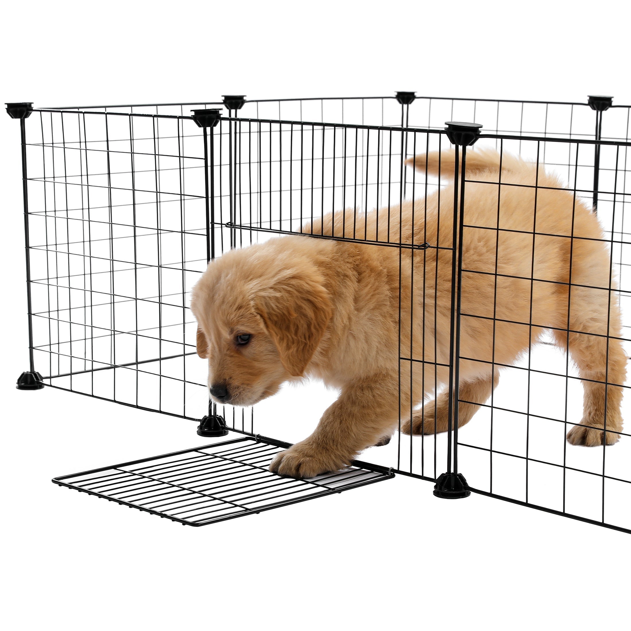 Gemakkelijk opvouwbare hondenkooi | Ruimtebesparend en zonder gereedschap te monteren Handige en betrouwbare binnenoplossing voor honden en puppy's.