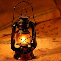 Vintage Buitenlamp - Weerbestendig voor Tuin en Terras