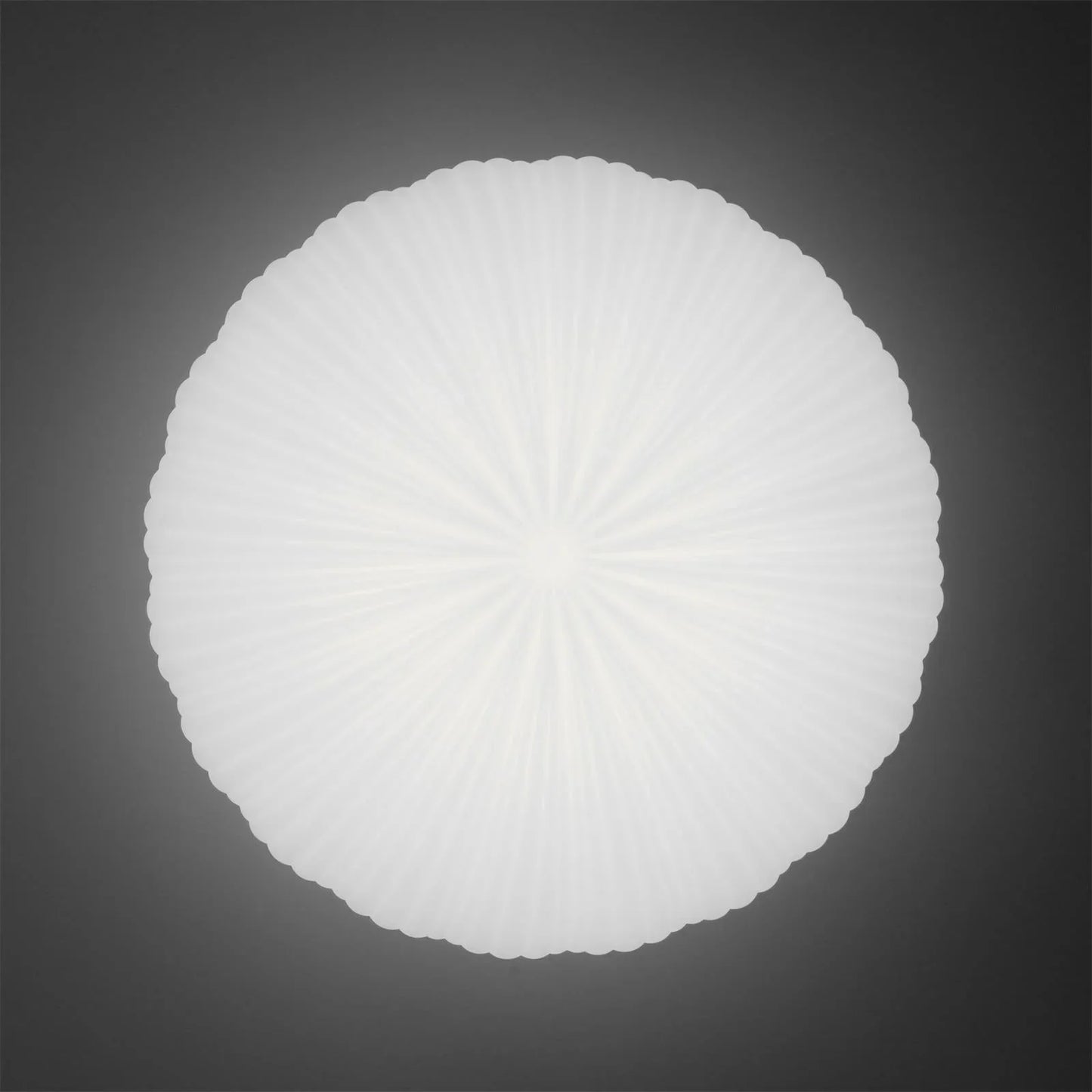 Moderne plafondlamp in koepelvorm – Geïnspireerd op een schelp, Japandi-stijl