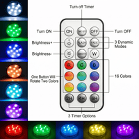 RadiantRipple – Waterdichte Decoratieve LED's