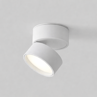 Moderne verstelbare LED plafondlamp