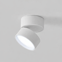 Moderne verstelbare LED plafondlamp