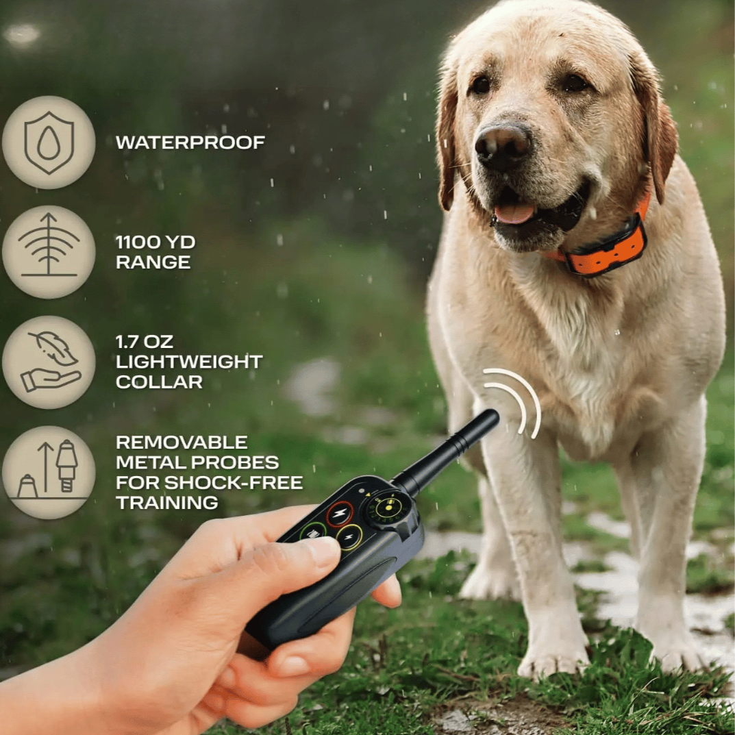 Langere Bereik 1000m Waterdichte Honden Trainings E-Collar & Afstandsbediening