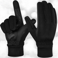 WeerGuard Warmtehandschoenen