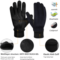 WeerGuard Warmtehandschoenen