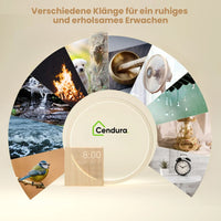 Zonsopgang Wecker met Licht | Wecker met Oplaadfunctie | WeckSchein