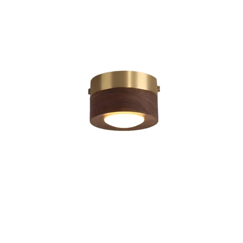Houten LED Plafondlamp met Walnootafwerking en Minimalistisch Rond Ontwerp