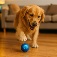 Hondenspeelgoed | Interactief Speelgoed voor Honden | WuffBall