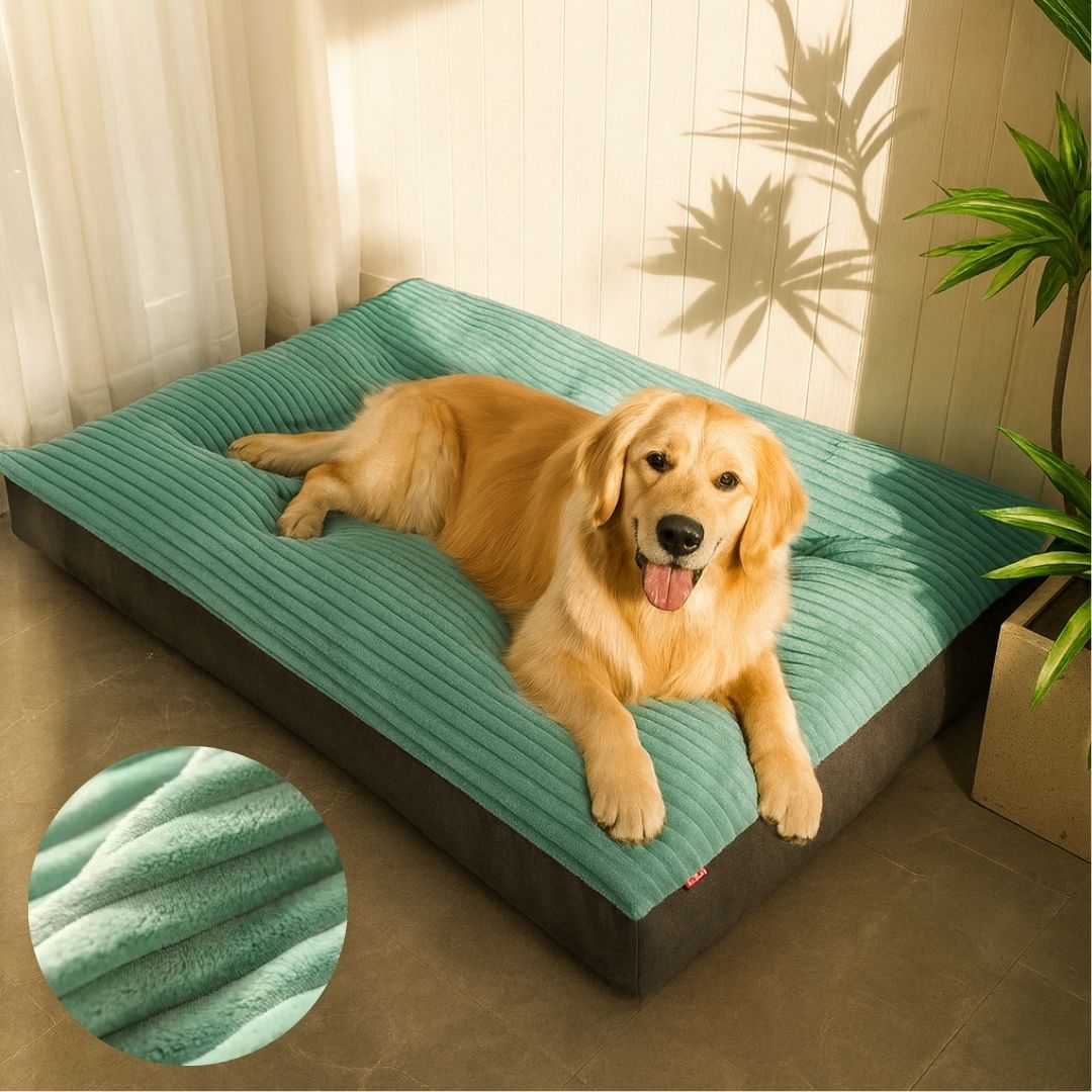 Orthopedisch Hondenbed voor Grote & Kleine Honden | Hondenkussen Wasbaar | WuffNest