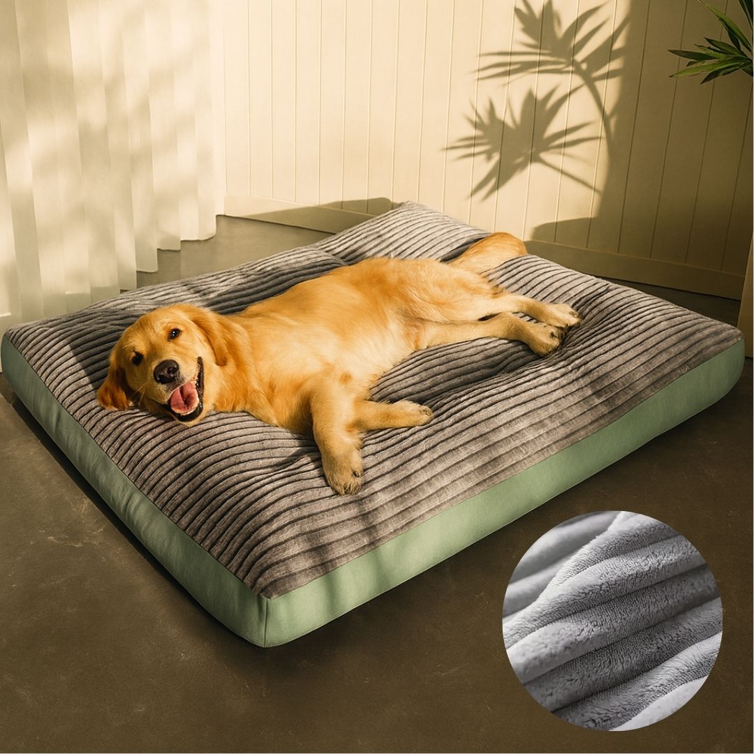 Orthopedisch Hondenbed voor Grote & Kleine Honden | Hondenkussen Wasbaar | WuffNest