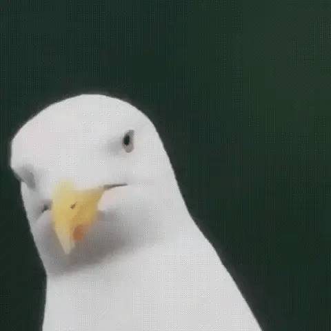 Compact 600x Ultra-Zoom Monoculaire | HD Lens, Lichtgewicht & Perfect voor Wandelen, Vogelspotten en Sportevenementen