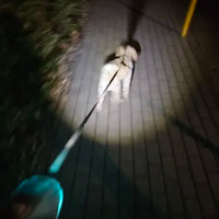 NoblePaws | LED hondenriem voor veilige avondwandelingen