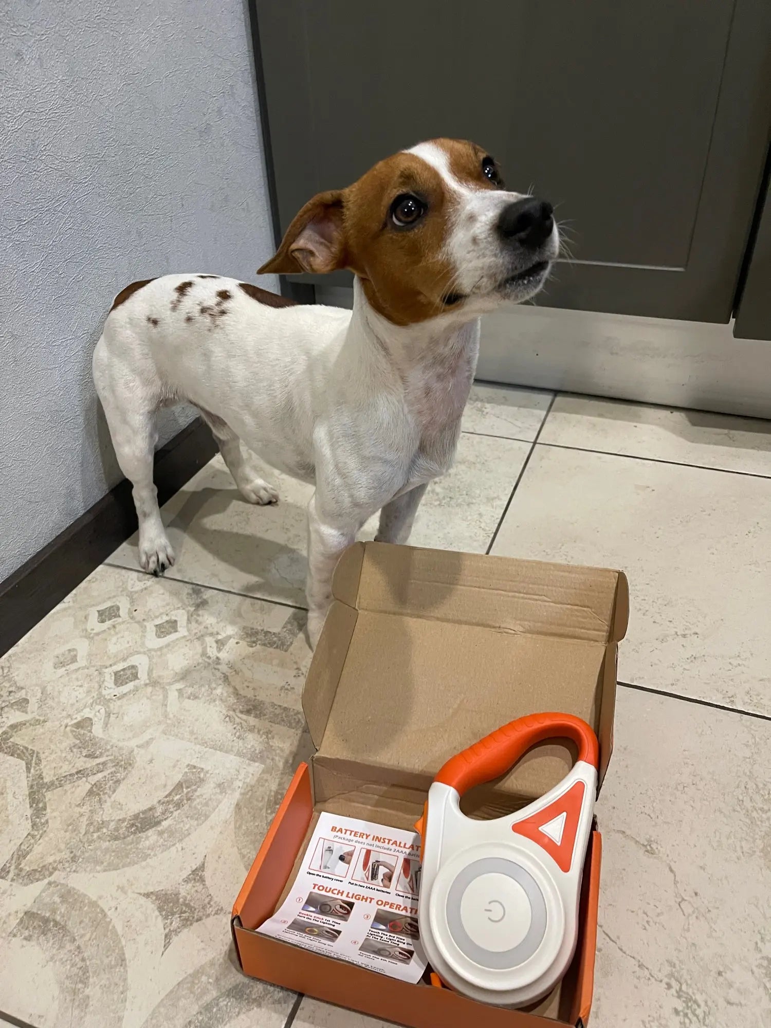NoblePaws | LED hondenriem voor veilige avondwandelingen