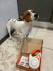 NoblePaws | LED hondenriem voor veilige avondwandelingen